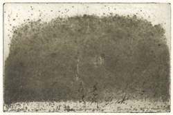 BJØRN KROMANN-ANDERSEN – Kragekrat